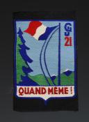ÉCUSSON GROUPEMENT 21 GALLIENI groupe 9 DES CHANTIERS DE JEUNESSE, Seconde Guerre Mondiale. 31671-3