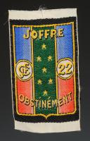 ÉCUSSON GROUPEMENT 22 JOFFRE groupe 9 du 2e modèle DES CHANTIERS DE JEUNESSE, Seconde Guerre Mondiale. 31672-4