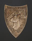 INSIGNE GROUPEMENT 12 groupe 8 BELLEDONNE DES CHANTIERS DE JEUNESSE, Seconde Guerre Mondiale. 31852R
