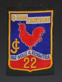 ÉCUSSON GROUPEMENT 22 JOFFRE groupe 9 du 1er modèle DES CHANTIERS DE JEUNESSE, Seconde Guerre Mondiale. 31672-2