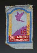 ÉCUSSON GROUPEMENT 16 LA FORÊT DU ROUEST groupe 1 du 1er modèle DES CHANTIERS DE JEUNESSE, Seconde Guerre Mondiale. 31666-2