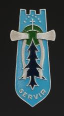 INSIGNE DU GROUPEMENT 10 groupe 11 servir GRANDE CHARTREUSE DES CHANTIERS DE JEUNESSE, Seconde Guerre Mondiale. 31874