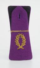 PAIRE DE PATTES D'ÉPAULES D'UN ENSEIGNANT DU CONTINGENT, Cinquième République. 28404-15