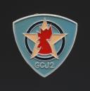 INSIGNE GROUPEMENT 2 FRANCE-COMPTE JEAN-DE-VIENNE DES CHANTIERS DE JEUNESSE, Seconde Guerre Mondiale. 31813-3R