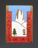 9th GROUP INSIGNIA LE ROC YOUTH WORK CAMP, 1st type, Second World War. 31854-1