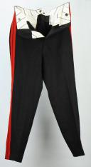 Photo 5 : PANTALON D'OFFICIER D'ARTILLERIE, modèle 1867/1893.
