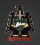 INSIGNE GROUPEMENT 9 groupe 1 Roland LE ROC CHANTIER DE JEUNESSE, Seconde Guerre Mondiale. 31863-1