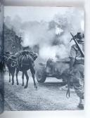 Photo 7 : DANNAUD – " Guerre morte " (documents photographiques)  