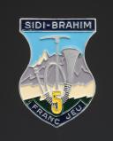 12th Belledonne Group badge, group 5 of the Youth Work Camps, hand-painted, Second World War era. 31832