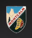 INSIGNIA GROUP 9 Group 2 Montcalm THE ROCK YOUTH WORK CAMP, Second World War. 31861