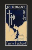 INSIGNE GROUPEMENT 43 groupe 8 Cl Driant SIDI BRAHIM DES CHANTIERS DE JEUNESSE, Seconde Guerre Mondiale. 31940