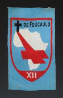 ÉCUSSON GROUPEMENT 24 POURQUOI PAS groupe 12 DE FOUCAULD DES CHANTIERS DE JEUNESSE, Seconde Guerre Mondiale. 31677-9