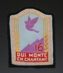 PATCH GROUPING 16 - THE ROUEST FOREST, group 10 of the 1st model of the YOUTH WORK CAMPS, Second World War. 31666-5R