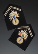 PAIR OF COLLAR TABS OF THE GENDARMERIE OF MARÉCHAL PÉTAIN'S GUARD, Second World War. 31498R.