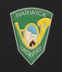 INSIGNE GROUPEMENT 43 groupe 9  Narwick SIDI BRAHIM DES CHANTIERS DE JEUNESSE, Seconde Guerre Mondiale. 31939R