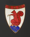 BATCH INSIGNIA 10th Group 6 GROUP OF THE GRANDE CHARTREUSE OF THE YOUTH LABOR CORPS, Second World War. 31878-2