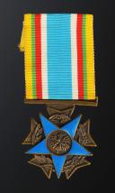 MÉDAILLE DES COMBATTANTS DE MOINS DE 20 ANS, créée en 1968, Cinquième République. 29788-13R