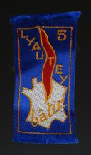 ÉCUSSON GROUPEMENT 5 LYAUTEY DES CHANTIERS DE JEUNESSE petit modèle, Seconde Guerre Mondiale. 31653-3