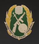 INSIGNE DE L'ACTION PSYCHOLOGIQUE VIETNAMIENNE, Guerre d'Indochine. 32086MR