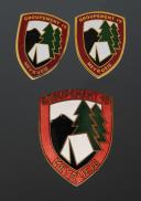 BADGE GROUP 1 MARSHAL PÉTAIN YOUTH WORK CAMP, Second World War. 31812