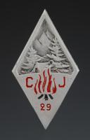 BERET INSIGNIA FOR GROUP 29 BUGEAUD OF THE YOUTH CAMPS, Second World War. Item number 31916-2