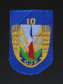 ÉCUSSON GÉNÉRAL DE BÉRET DE GROUPEMENT 10 DES CHANTIERS DE JEUNESSE, Seconde Guerre Mondiale. 31730-5-B10