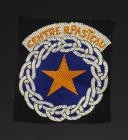 ÉCUSSON DU CENTRE R PASTEAU DES CHANTIERS DE JEUNESSE ET MONTAGNE, Seconde Guerre Mondiale. 31733-3