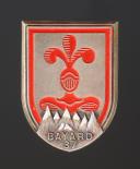 INSIGNIA GROUP 37 BAYARD YOUTH WORK CAMP, Second World War. 31929-2