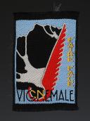 ÉCUSSON DU CENTRE VIGNEMALE DES CHANTIERS DE JEUNESSE ET MONTAGNE DES PYRÉNÉES, Seconde Guerre Mondiale. 31734-1