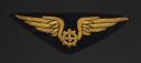 ATTRIBUT POUR VAREUSE D'OFFICIER MÉCANICIEN DE L'ARMÉE DE L'AIR FRANÇAISE, Quatrième République. 20406