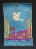 PATCH GROUP 16 LA FORÊT DU ROUEST, motto large of the 2nd model of the YOUTH CAMPS, Second World War. 31666-7