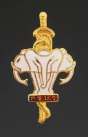 INSIGNIA OF THE HEALTH SERVICE DIRECTORATE OF LAOS. 32068MR