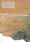 Photo 13 : TARNFARBEN camouflage painted of the german forces in wordl war II, VOLUME 1.