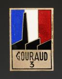 INSIGNE GROUPEMENT 2 FRANCE-COMPTÉ JEAN-DE-VIENNE groupe 3 Gouraud DES CHANTIERS DE JEUNESSE, Seconde Guerre Mondiale. 31814