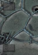 Photo 7 : TARNFARBEN camouflage painted of the german forces in wordl war II, VOLUME 1.
