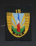 GENERAL BERET BADGE OF GROUPING 15 OF THE YOUTH WORK CAMPS, Second World War. 31730-4
