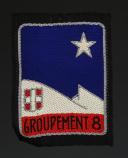 ÉCUSSON GROUPEMENT 8 LA RELÈVE DES CHANTIERS DE JEUNESSE, 3ème modèle, Seconde Guerre Mondiale. 31656-2