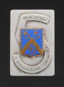 INSIGNE GROUPEMENT 34 groupe 5 L'Arminier SULLY DES CHANTIERS DE JEUNESSE, Seconde Guerre Mondiale. 31924