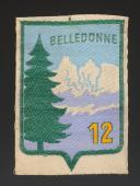 ÉCUSSON GROUPEMENT 12 BELLEDONNE DES CHANTIERS DE JEUNESSE, Seconde Guerre Mondiale. 31660-1