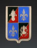 INSIGNIA OF THE 1st SQUADRON OF THE 1st AMPHIBIOUS GROUP, Indochina War. 32069MR.