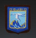 ÉCUSSON GROUPEMENT 31 GUYNEMER groupe 1 du 2e modèle DES CHANTIERS DE JEUNESSE, Seconde Guerre Mondiale. 31681-2