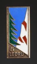 INSIGNE GROUPEMENT 7 groupe 5 Le Dru LE FIER DES CHANTIERS DE JEUNESSE, Seconde Guerre Mondiale. 31842-1