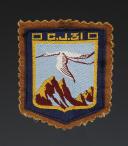 PATCH GROUP 31 GUYNEMER of the 1st model from the YOUTH CAMPS, World War II. 31681-3