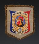 ÉCUSSON GROUPEMENT 1 groupe 8 (variante gris clair) DES CHANTIERS DE JEUNESSE, Seconde Guerre Mondiale. 31649-10