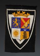 BADGE THAT CAN BE ATTRIBUTED TO THE YOUTH CAMPS, World War II. 31743-2