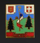 INSIGNE GROUPEMENT 7 groupe 11 LE FIER DES CHANTIERS DE JEUNESSE, Seconde Guerre Mondiale. 31845