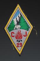 PATCH GROUPING 29 BUGEAUD group 3 OF THE YOUTH WORKSHOPS, Second World War. 31679-4