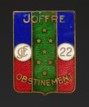 INSIGNE GROUPEMENT 22 JOFFRE DES CHANTIERS DE JEUNESSE, Seconde Guerre Mondiale. 31904