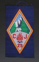 ÉCUSSON GROUPEMENT 29 BUGEAUD groupe 4 DES CHANTIERS DE JEUNESSE, Seconde Guerre Mondiale. 31679-5