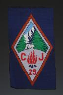 ÉCUSSON GROUPEMENT 29 BUGEAUD groupe 6 DES CHANTIERS DE JEUNESSE, Seconde Guerre Mondiale. 31679-6